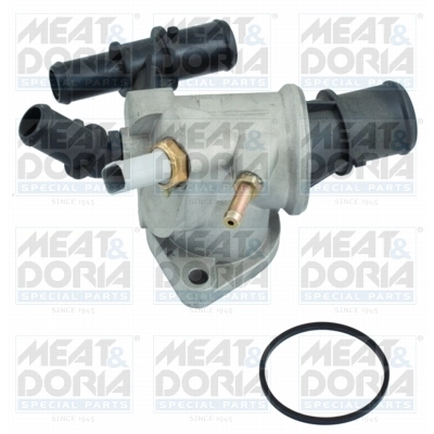 Thermostat, coolant